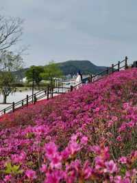 초록뷰 싱그러운 순천 봄나들이코스🌷