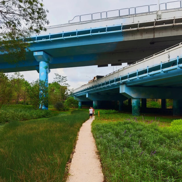 廣州雙橋公園：繽紛彩繪，展現城市創意和活力！