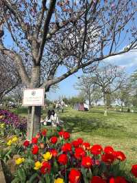 Akebonoyama Park 