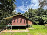 Gunung Mulu National Park