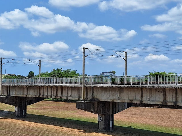 【高雄景點】舊鐵橋濕地生態公園：歷史古蹟，豐富生態，適合親子和攝影愛好者