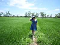 KUBE(กึ้บ) คาเฟ่ริมทุ่งนา