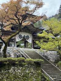 【福井・永平寺】言わずと知れた曹洞宗の総本山