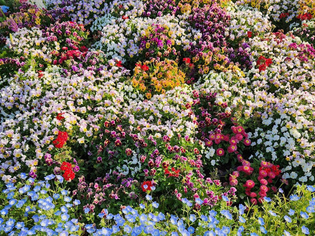 Wonderful Park in Yokohama