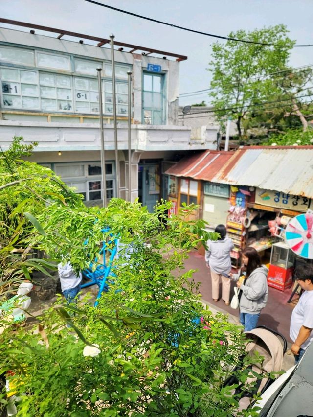 우연히 만나 더 예뻤던 전주 목향장미💛