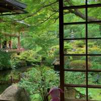 福岡大濠公園日式庭園：精緻造園、恬靜環境，感受日本風情
