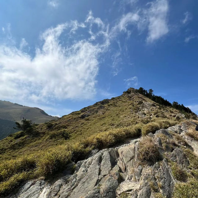 佘山國家森林公園：青翠山水畫捲