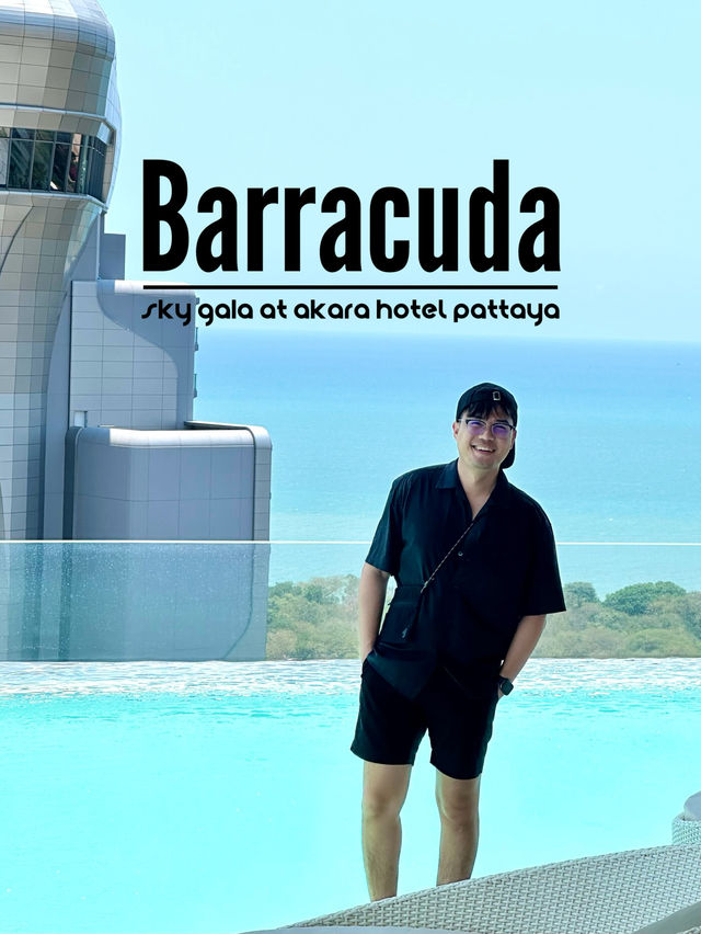 Barracuda SKY GALA 🏙️