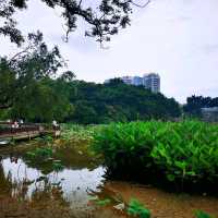 洪湖公園