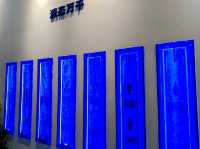 Wuhan Science and Technology Museum