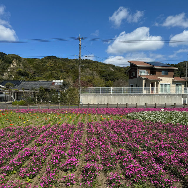 四季花海「池田湖」
