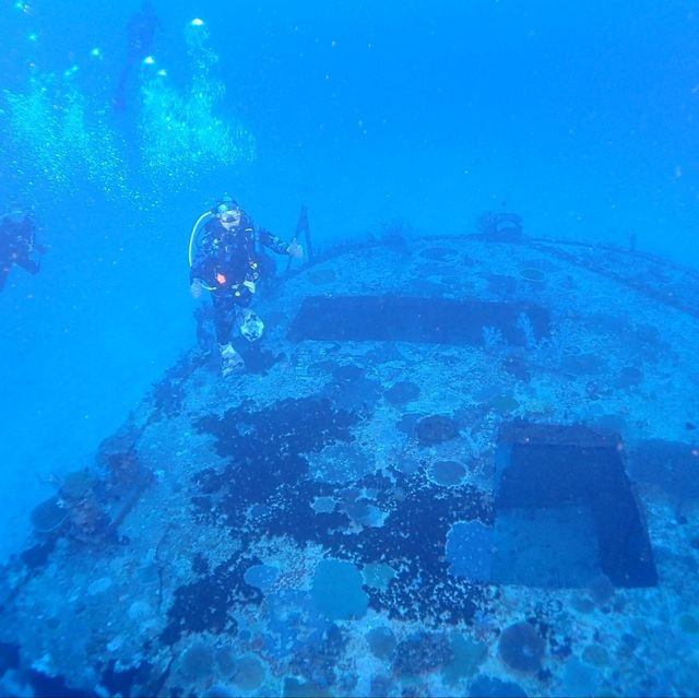 綠島出潛之旅2024
