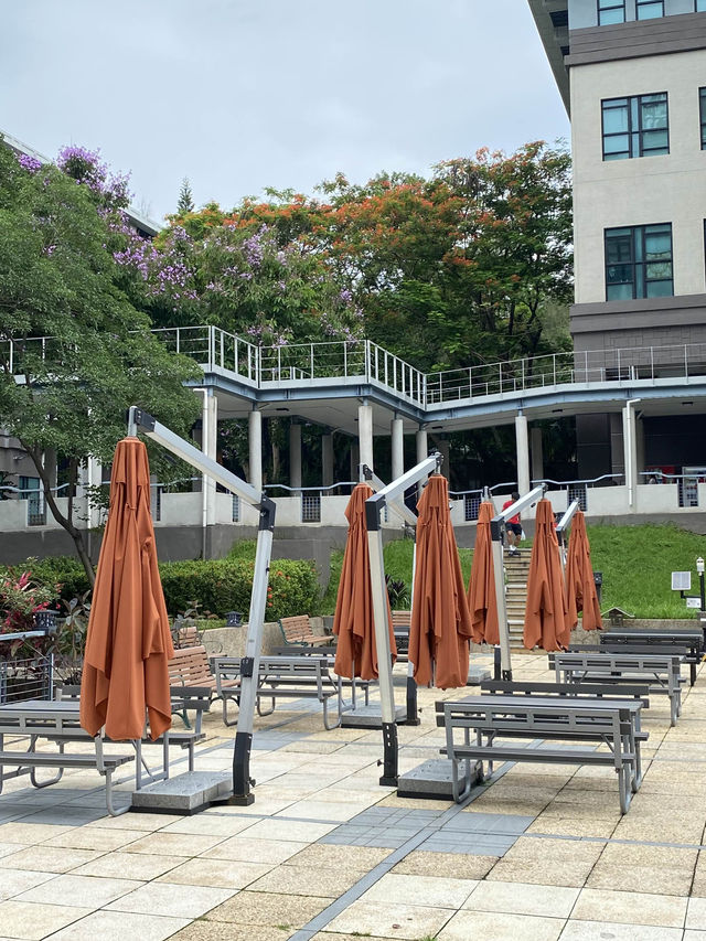 春季郊遊文青路線:嶺南樓飲茶+大學半日遊 春季郊遊文青路線:嶺南樓飲茶+大學半日遊