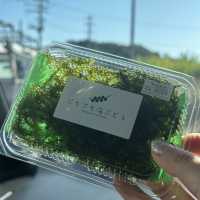 【沖縄】新鮮な海ぶどうが食べれるお店！