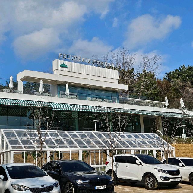 ⚓🚤해운대 달맞이 카페 프루터리 포레스트 숲속 힐링