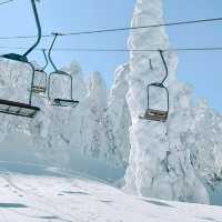 北海道札幌滑雪場：亞洲最頂尖滑雪勝地，北國雪地之美