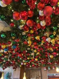 🫧 부산에서 제일 먼저 크리스마스를 볼 수 있는 곳🎅🏻🎄
