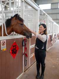 【深圳-一日體驗騎馬餵馬 🐎】