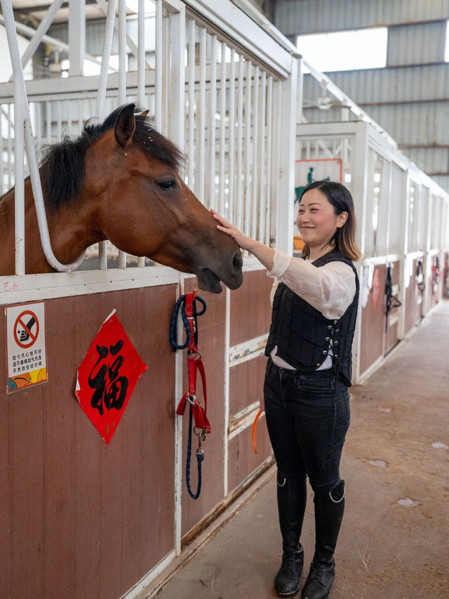 【深圳-一日體驗騎馬餵馬 🐎】
