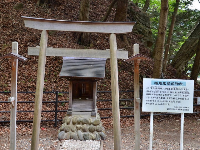日本關東賞花