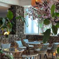 브런치와 요트투어를 함께 즐길 수 있는 cafe🩵 