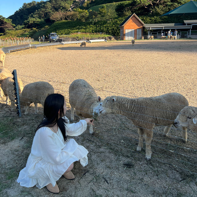 유럽 시골 마을 같은 지리산 치즈랜드🧀
