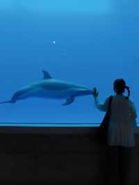日本 ｜ 香川縣海濱絕景 四國水族館🐟