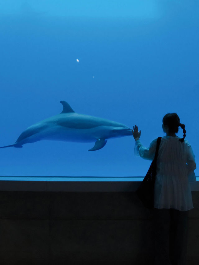 日本 ｜ 香川縣海濱絕景 四國水族館🐟