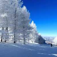 【札幌】比羅夫滑雪場：雪質優質，冬季必遊景點