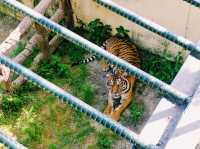 Jinyangho Zoo