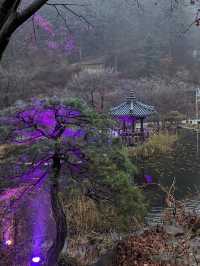 Garden of Morning Calm 