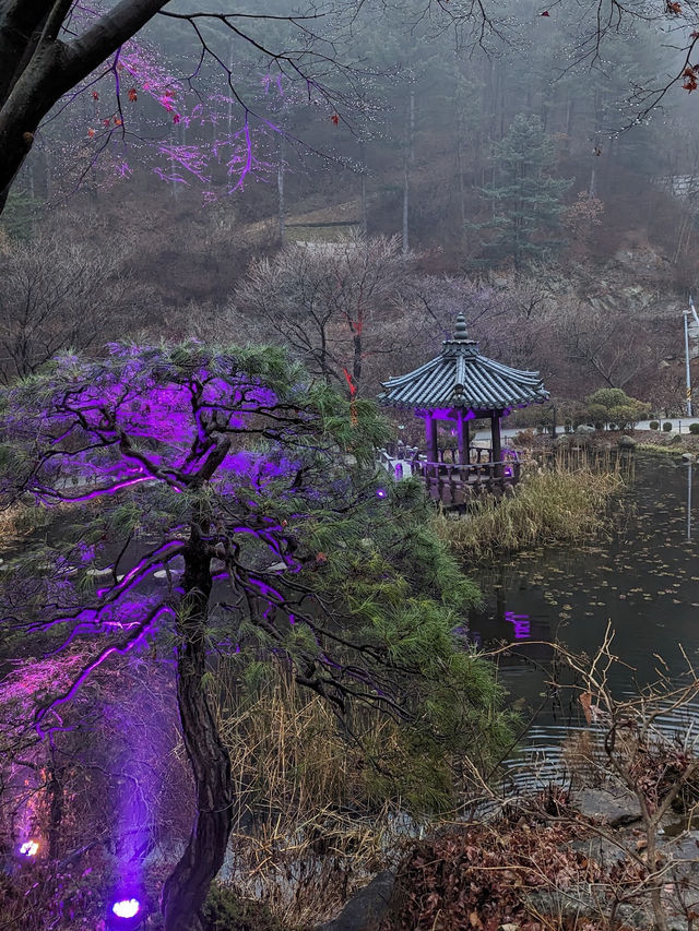 Garden of Morning Calm 