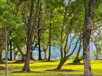 Bedok Reservoir Park