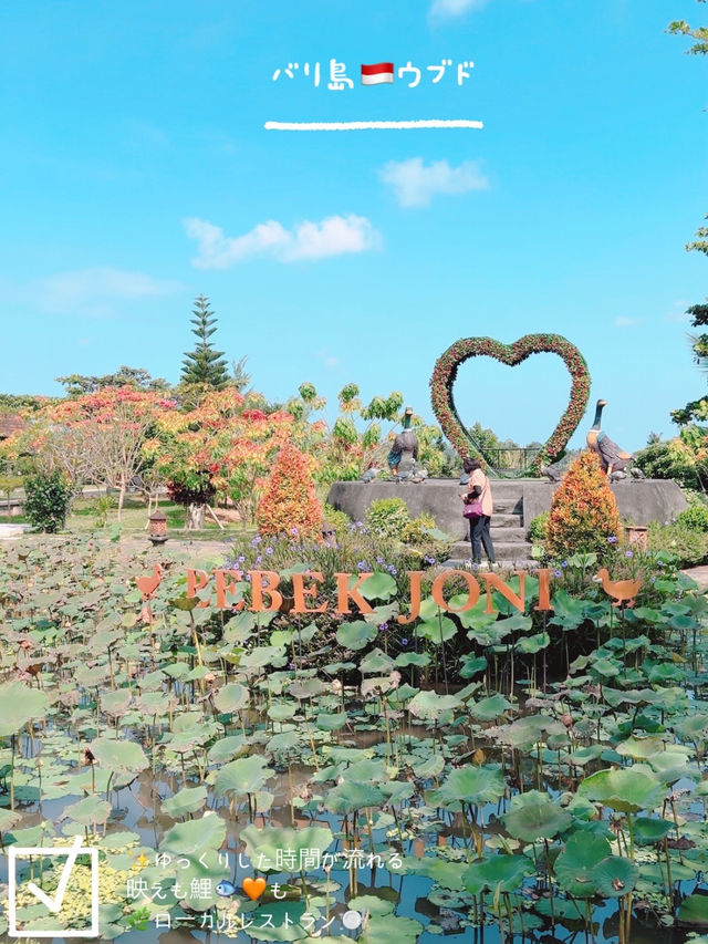 インドネシア🇮🇩バリ島✨ウブドのレストラン🌿🍽️