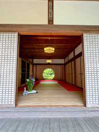 【鎌倉】季節ごとの花が楽しめる［日本遺産］明月院