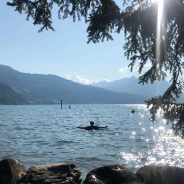 🇨🇭드넓은 스위스 호수에서 수영하기! 꼭 해보세요:)