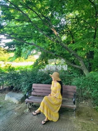 千年之森，治癒身心的咸陽上林公園