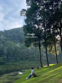 14 พิกัดเที่ยวภาคเหนือ | ฤดูฝน 🏡⛰️🌧️🌳