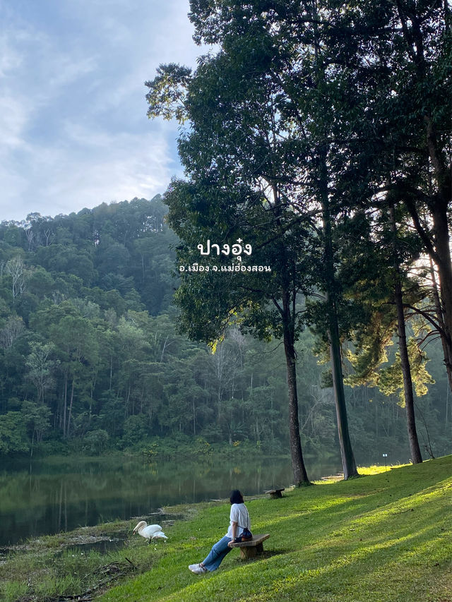 14 พิกัดเที่ยวภาคเหนือ | ฤดูฝน 🏡⛰️🌧️🌳