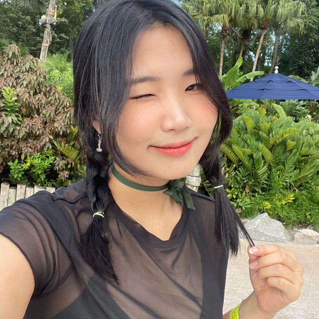 미키와 함께 수영을 ,,♡ 올랜도 디즈니월드 타이푼 라군 