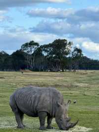 Werribee