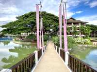 แค่อาหารเช้า 🤷 ก็มาถึงเมืองเหนือล่ะ! 🌳