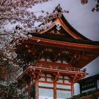 Majestic Kiyomizu-dera Temple ⛩️✨