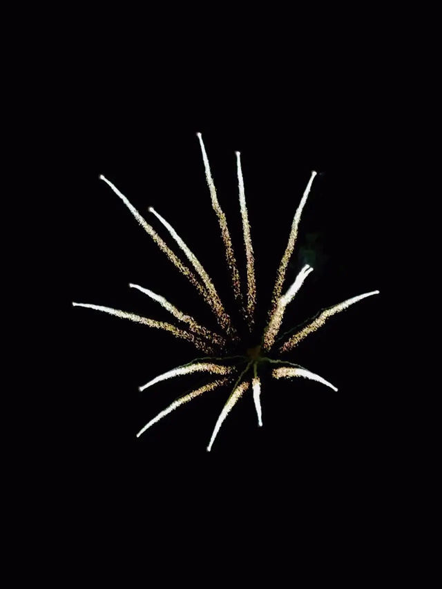 【千葉】牧場で花火！マザー牧場🎇