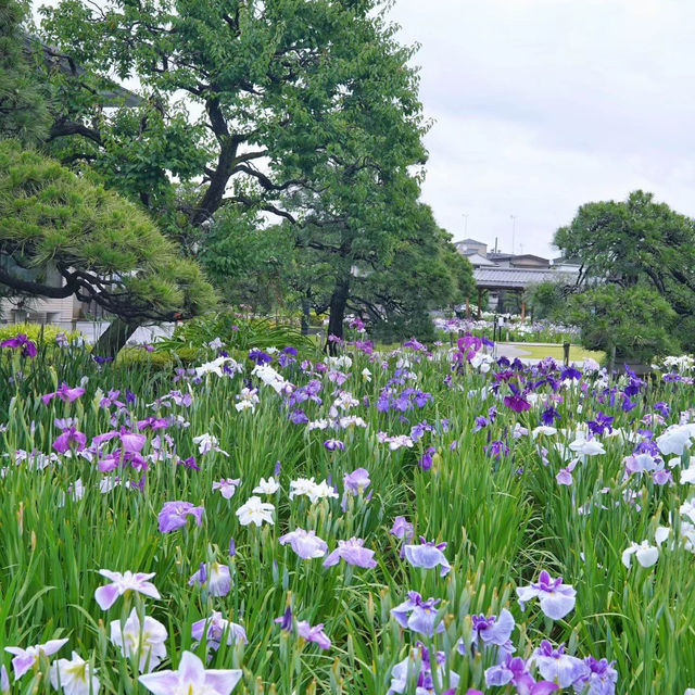 掛川花鳥園♥️鳥鳴蝴舞