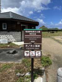 奄美大島　超神秘的！自然の洞窟🪨