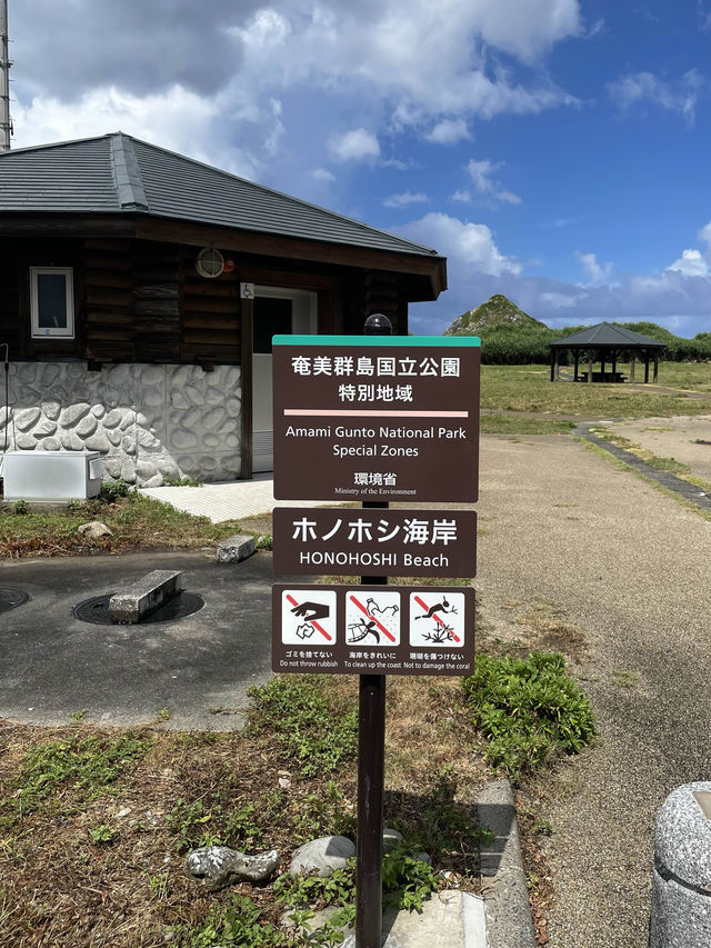 奄美大島　超神秘的！自然の洞窟🪨