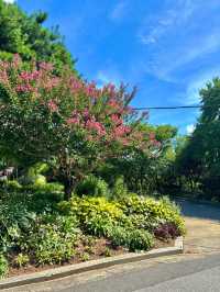 푸릇 푸릇한 자연을 바라보기 좋은 한국도로공사 수목원💚