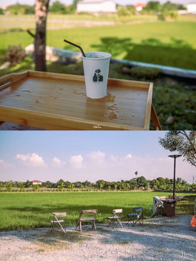 ดอกไม้ประตูแจกันวิลเลจ คาเฟ่สุดชิลย่านบางใหญ่🏠🌳