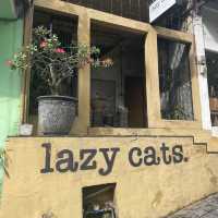 A cafe you could live in